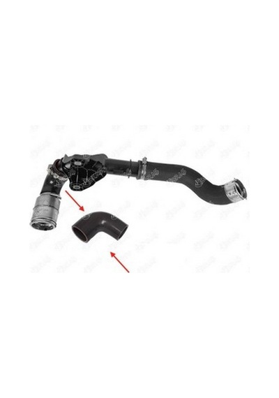 Ibras Turbo Hortumu 144603730r Master Iıı