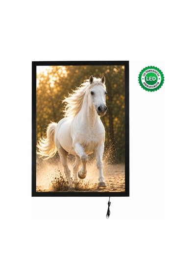 Magneco Ledbox Tek Taraflı Işıklı Çerçeve B1