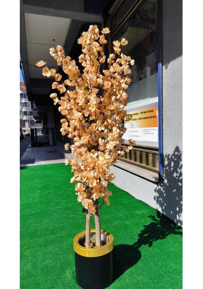 Rüzgar Yapay Çiçekçilik 160 Cm Kavun İçi Renk Bahardali Ağacı Kavunici