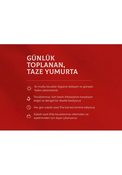 Kafessiz Köy Tavuğu Yumurtası 15 Adet