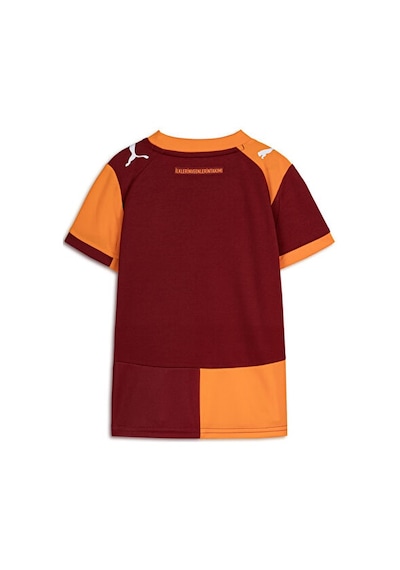 Puma Çocuk Galatasaray 25/26 İç Saha Forması Çocuk Galatasaray 25/26 İç Saha Forması 77981801 Kırmızı Kırmızı