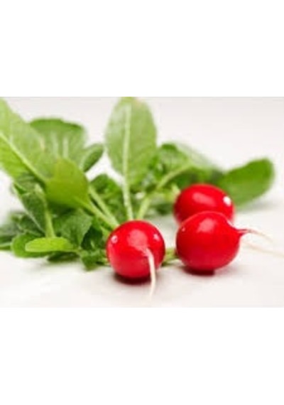 Fındık Turp Tohumu Cherry Belle Radish