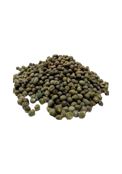 Lokman Aktar Bamya Tohumu 1 KG