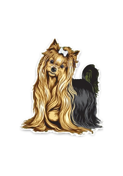 Yorkshire Terrier Cins Köpek Araba Sticker Çıkartması