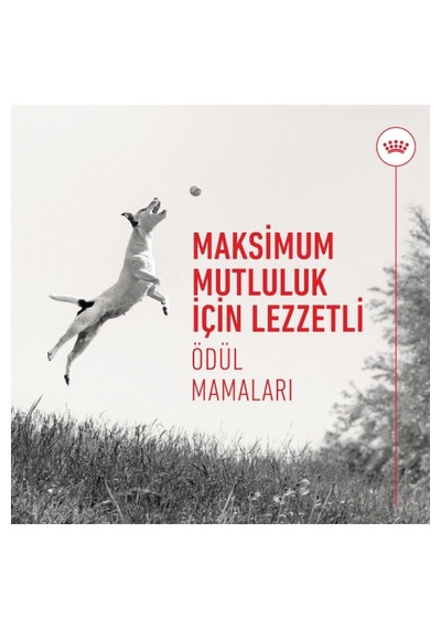 Training Treats Köpekler İçin Eğitim Amaçlı Ödül Maması 110g