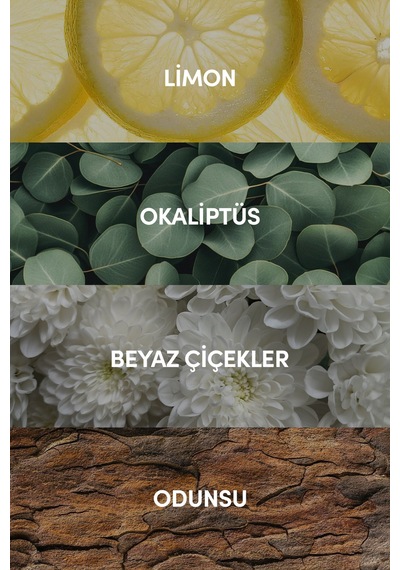 Océane Edp Erkek Parfüm 100ml Ferah-deniz-narenciye Aromatik, Limon, Gül