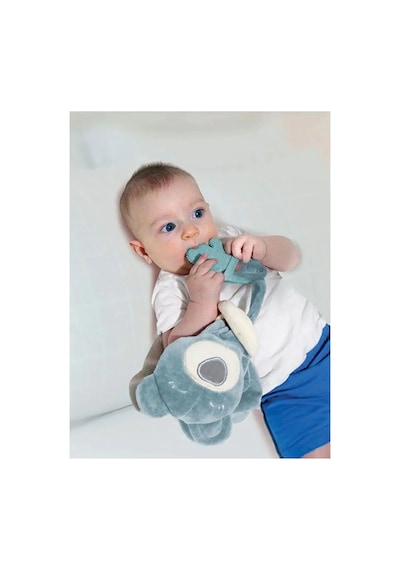 Babyjem Diş Kaşıyıcılı Uyku Arkadaşım 680 Yeşil