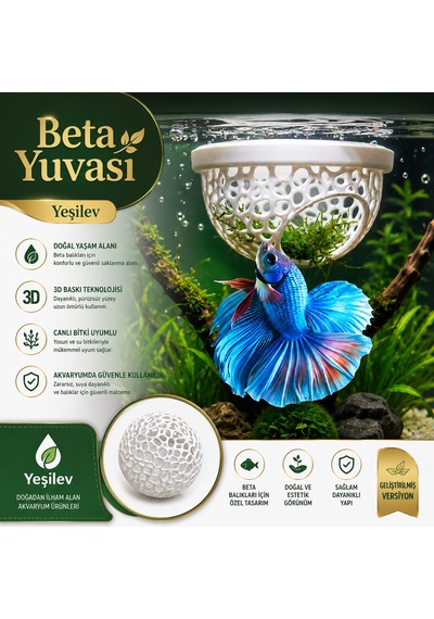 Beta Balığı Beyaz Betta Dinlenme Alanı & Üretim Yuvası
