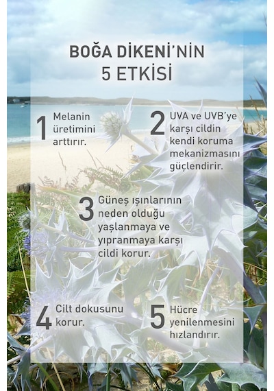 Cildin Gün Boyu Nemli Kalmasını Sağlayan Güneş Sonrası Nemlendirici Yüz Kremi 30ml