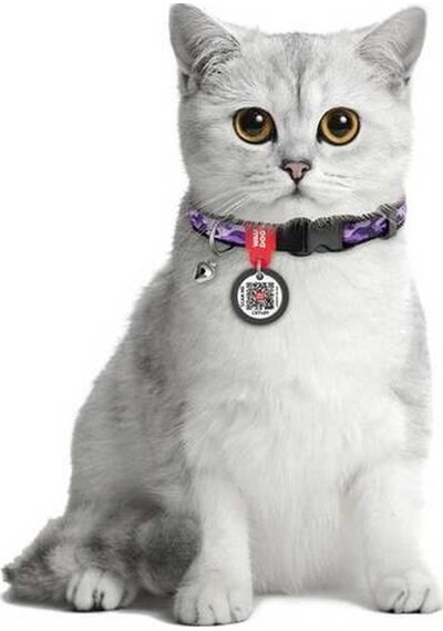 Waudog Collar Qr Pasaportlu Kedi Ve Ufak Irk Köpek Boyun Tasması 20-30 Cm, 10 Mm, L, Purple Camo