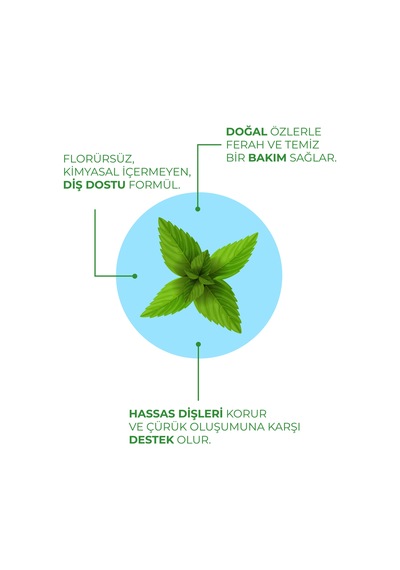 Doğal Yoğun Naneli Florürsüz Ferah Nefes Diş Macunu 100 Ml