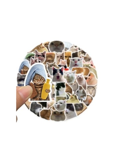 Çılgın Kediler Laptop Notebook Tablet Sticker Seti