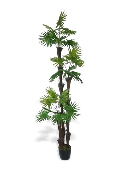 Yapay Ağaç Palmiye Fanpalm 3katlı 24yaprak Siyah Plastik Saksıda 165 65cm