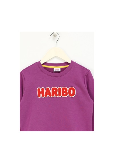 Haribo Lila Kız Çocuk Bisiklet Yaka İşlemeli Sweatshirt Hrbtxt308 Lila