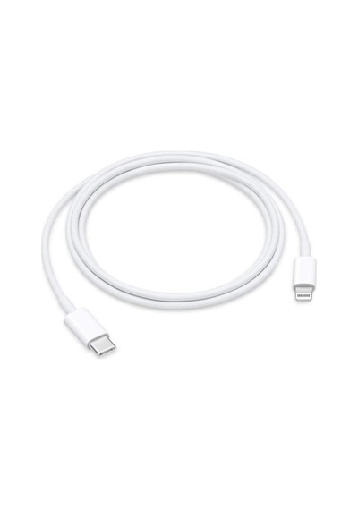 Nettech NT-DC10 2.4 A Plastik 100 CM Type C- Lighting Data Kablo