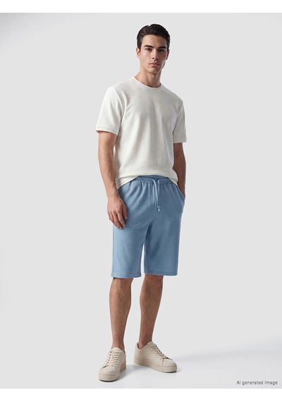 Lcwaıkıkı Classic Mavi Regular Fit Erkek Şort