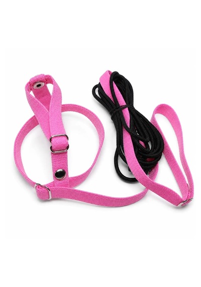 Jumbo Muhabbet Kuşu Tasması - Uçuş Takımı, Pembe