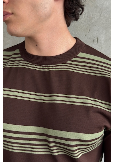 Erkek Bisiklet Yaka Oversize Çizgili Triko T-shirt Kahverengi