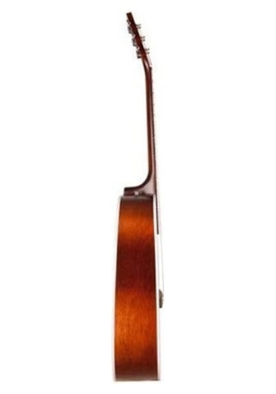 Seagull Entourage Akustik Gitar Autumn Burst