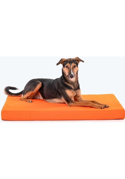 Köpek Yatağı Minderi 70x110 Turuncu 10 Cm Yükseklik