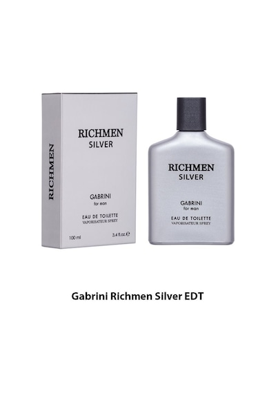 Gabrini Richmen Silver Erkek Parfüm EDT 100 ML