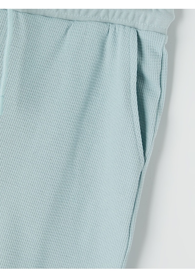Lcwaıkıkı Classic Turkuaz Regular Fit Erkek Şort
