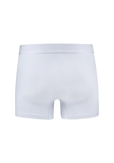Efsi 3019 Erkek Boxer 001