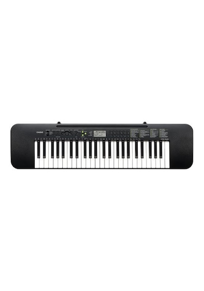 Casio CTK-240 Org