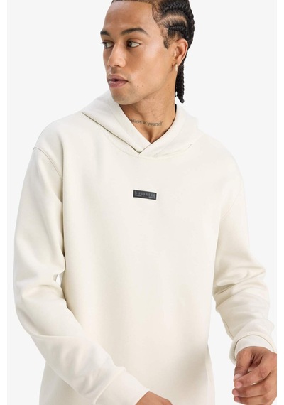 DeFactoFit Standart Fit Kapüşonlu Skuba Dalgıç Kumaş Sporcu Sweatshirt D7364AX25SPBG721
