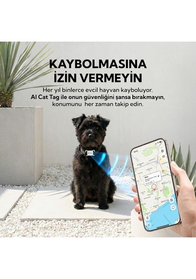 Köpek Aicattag Tasma,kedi Tag,hayvan Takipcihazı,tag Pet Tasma Ios&androiduyumlu Genel