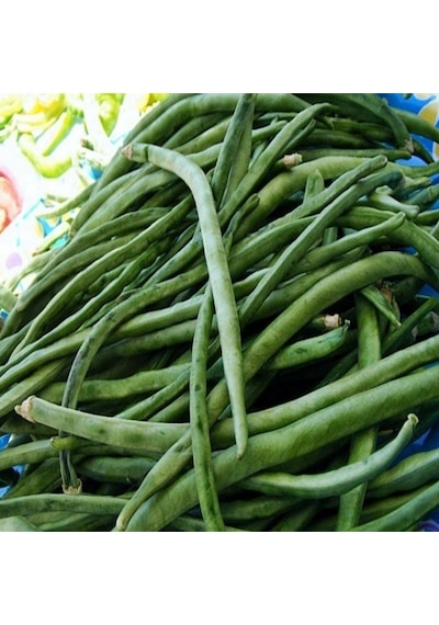 Ata Tohum Sırık Karnıkara Börülce Tohumu 1 Kg