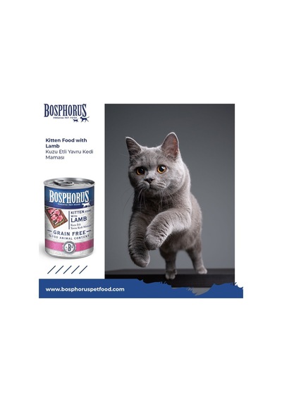 Bosphorus Kuzu Etli Küçük Taneli Yavru Kedi Konserve Maması 48 X 415 Gr Parça Etli