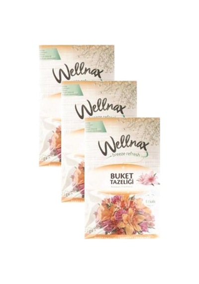 Wellnax Askılı Dolap Ve Çekmece Kokusu Buket Tazeliği 3 Adet