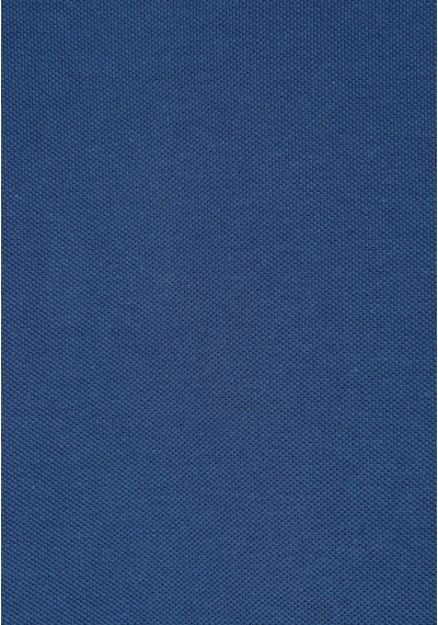 Colin's Colins Regular Fit Polo Yaka Düz Erkek Mavi Kısa Kol Tişört Cl1073960 Q1.v2 Blu Koyu Mavi