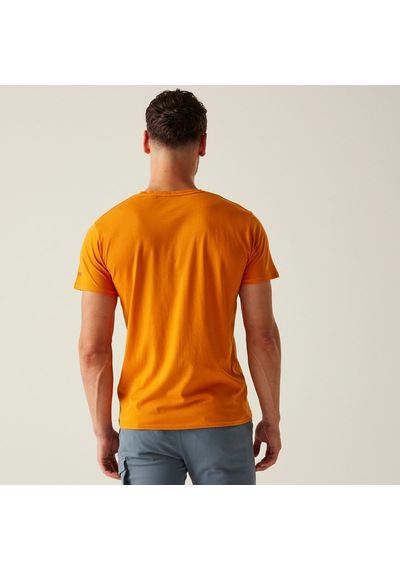 Regatta Breezedv Erkek T-shirt-turuncu