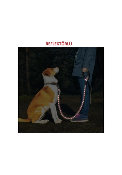 Mucit Home Köpek Gezdirme Tasma Kayışı 40 Kg'a Kadar Köpekler Için Tasma Halatı Gezdirme Ipi 150 Cm Çok Renkli