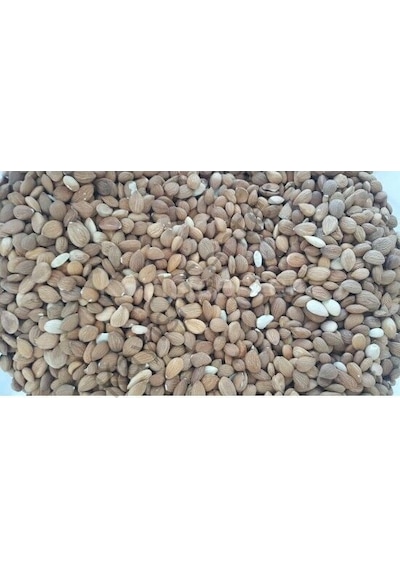 Toptan Acı Kayısı Çekirdeği 25 Kg 25 KG
