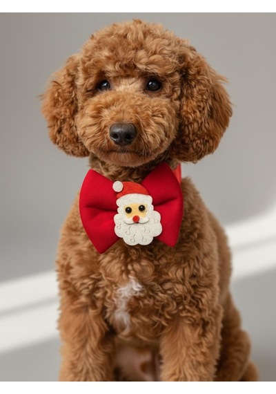 Rudolph Küçük Irk Köpek Papyon Tasması Kırmızı Fiyonk Boyun Aksesuarı Noel Temalı Köpek Süsü
