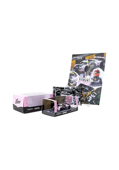 Eco Lounge 1/64 Audi R8 Lms Gt3 Evo Iı Macau Gt Cup - Fıa Gt World Cup 2024 10 With Tarmac Cards Combo Set