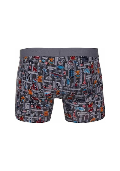 Doreanse Erkek Modal Renkli Baskılı Torbalı Normal Paça Boxer 181 (543079474)