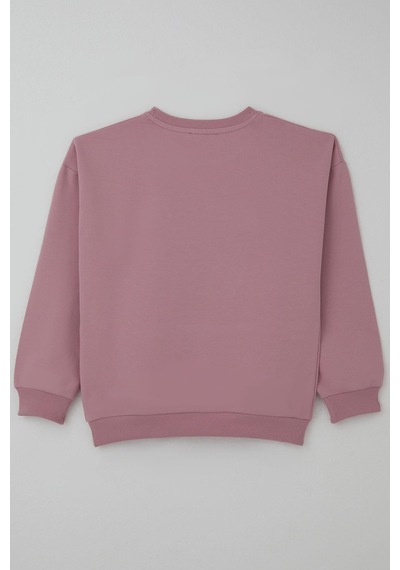 Breeze Kız Çocuk Sweatshirt Kelebek Aplike Nakışlı 8-12 Yaş, Gülkurusu Gül Kurusu
