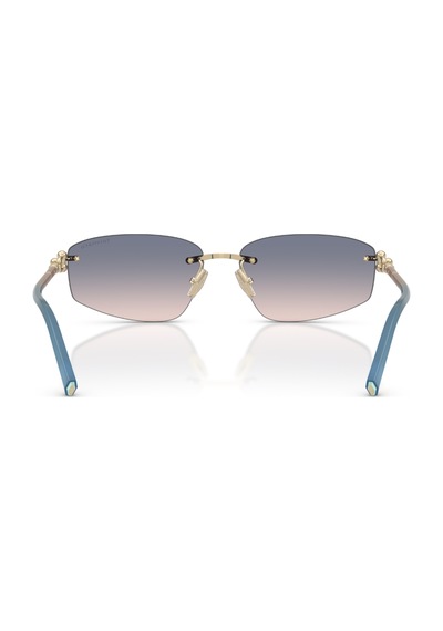Tf 3114 619116 59 Tiffany & Co. Güneş Gözlüğü Siyah