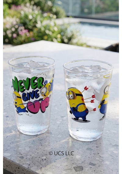 Minions Lisanslı 2'li Su Bardağı 400 Cc Çok Renkli