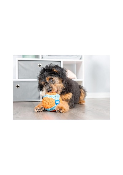 Chuckit Indoor Ball Eve Özel Yumuşak Oyun Topu - Köpekler İçin İç Mekan Getirme Topu