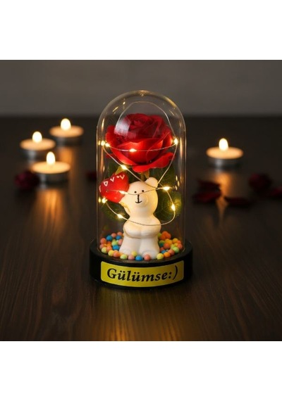 Balonlu Ayıcık Ledli Gül Fanus Dekoratif Masa Lambası Çok Renkli