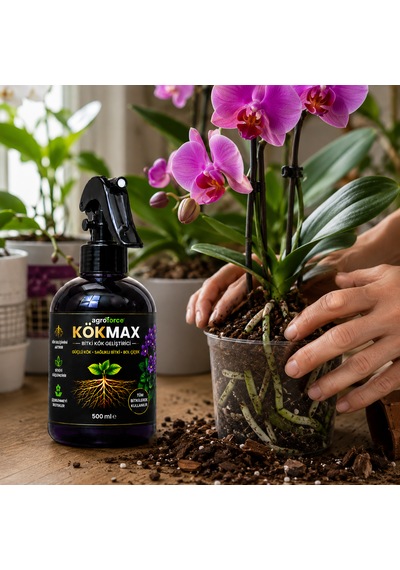 Kökmax Ev Bitkileri İçin Kök Güçlendirici Ve Çiçek Coşturucu Sprey 500 ML