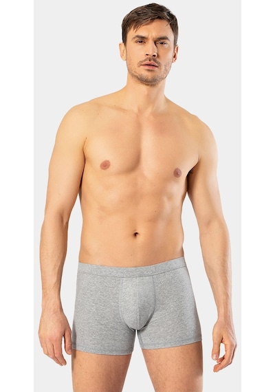 Cacharel Erkek Likralı Boxer 1335/Gri 001