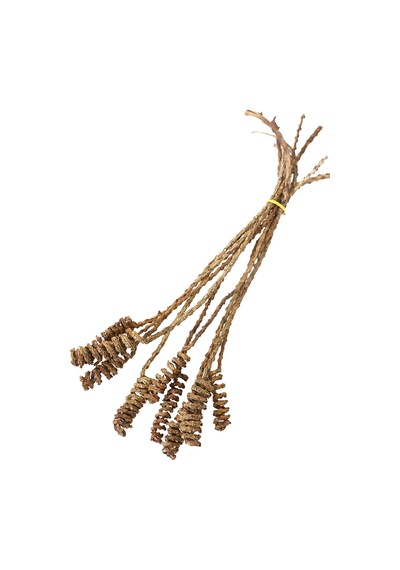 Yapay Çiçek Deposu 10lu Tropik Shany Springs 45 Cm