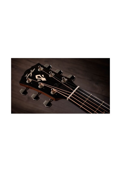 Taylor Gold Label 717e Elektro Akustik Gitar 104051399943