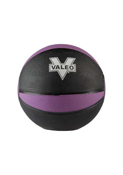 Valeo 1  KG Sağlık Topu Mor Renk